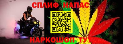 молекула духа Лесосибирск