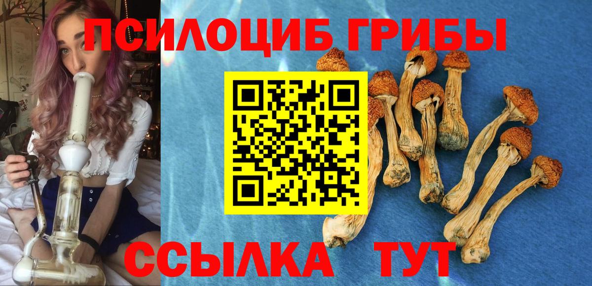 Знаменск  Галлюциногенные грибы GOLDEN TEACHER  Галлюциногенные грибы Psilocybe  Вход с VPN 